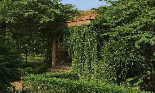 Aranyak Resort
