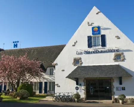 ジ オリジナルズ ホテル ラ マレボーディエール バンヌのホテル