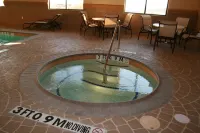 Hampton Inn & Suites Decatur - Hot Tub