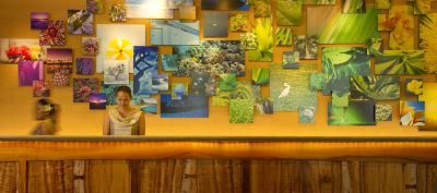 その他 アウラニ ディズニー リゾート&スパの写真