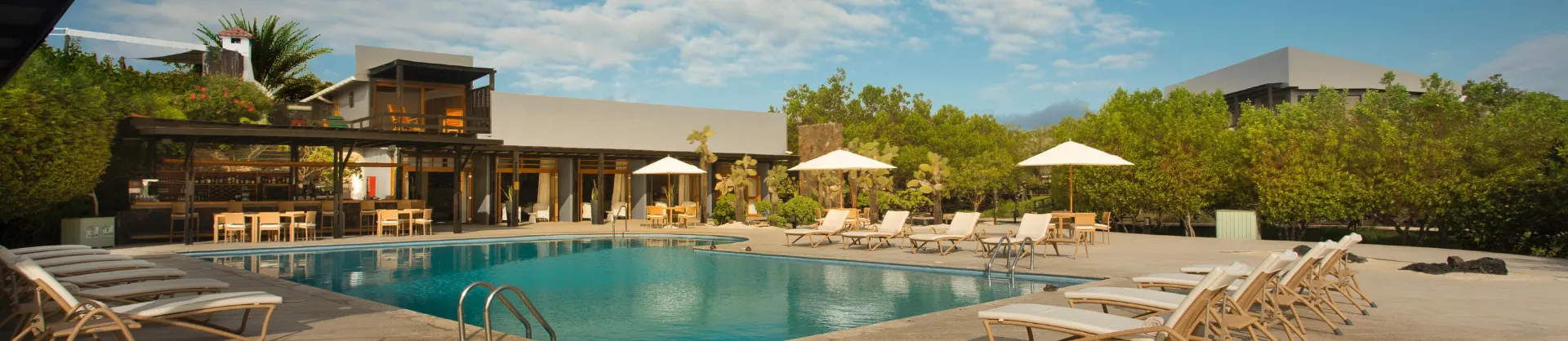 Luxury Hotels
