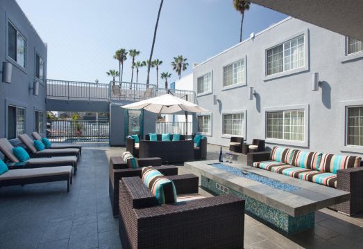 더 킨니 대표 이미지