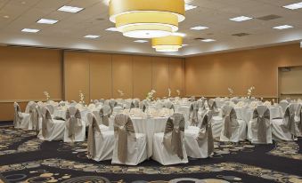 Holiday Inn Chicago-Elk Grove