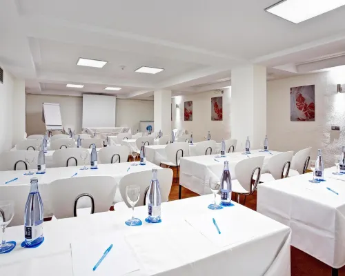Grupotel Gran Vista & Spa Business Facilities Photos