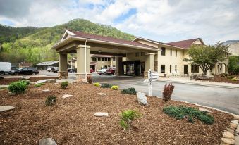 Comfort Inn Near Great Smoky Mountain National Park