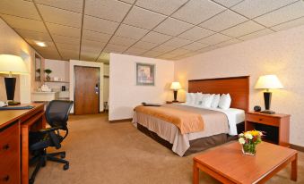 Comfort Inn Butte City Center I-15 - I-90