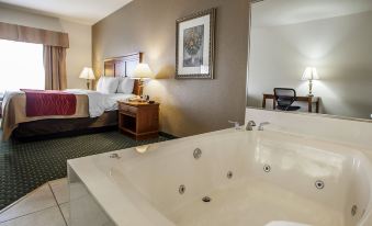 Comfort Inn & Suites Davenport - Quad Cities