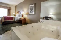 Comfort Inn & Suites Davenport - Quad Cities Hotels in Davenport