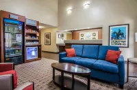 Quality Suites St. Joseph Hotels in Saint Joseph