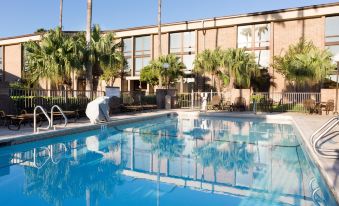 Holiday Inn Mcallen – Medical Center Area