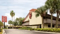 Bay Inn on Busch Hotels in Hillsborough County