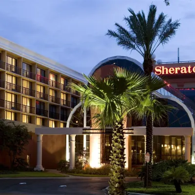 Sheraton Orlando North Hotel Hotels near Ward Park