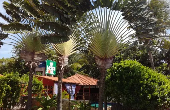 布里薩與蘇爾旅館