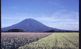 Niseko Tabi No Kousaten