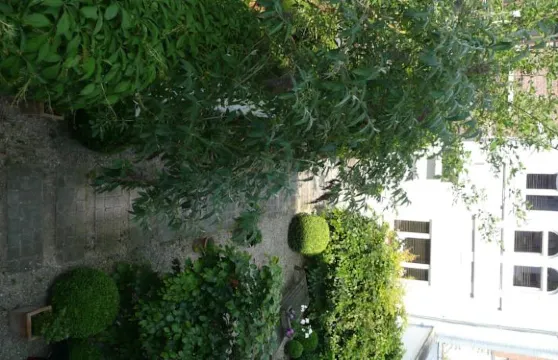 洛奇街床和早餐