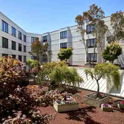 San Francisco Marriott Fisherman's Wharf Rooms