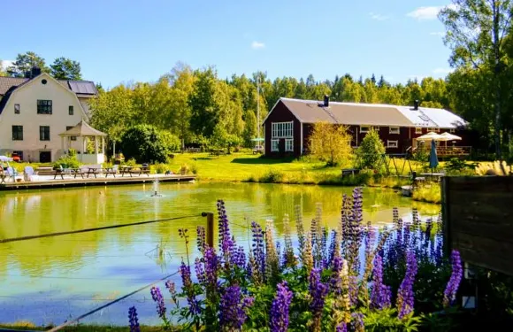 諾蘭金阿爾帕卡民宿 - 蓬鬆紫色精品酒店