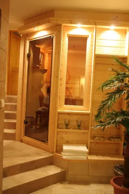 Hotel Bila Ruze Hotels in Pisek