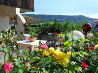 Hotel Saltus Hotel a Terlano