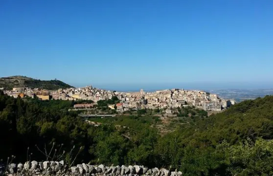 隆納沃納卡薩瓦坎薩民宿