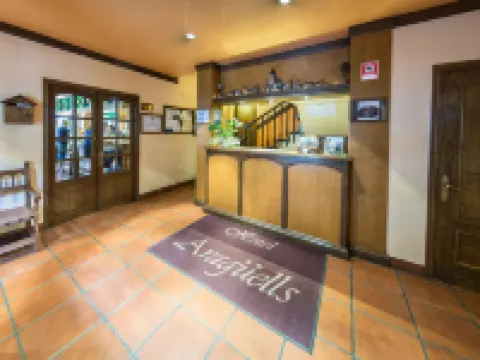 Hotel Aragüells Hotéis em Benasque