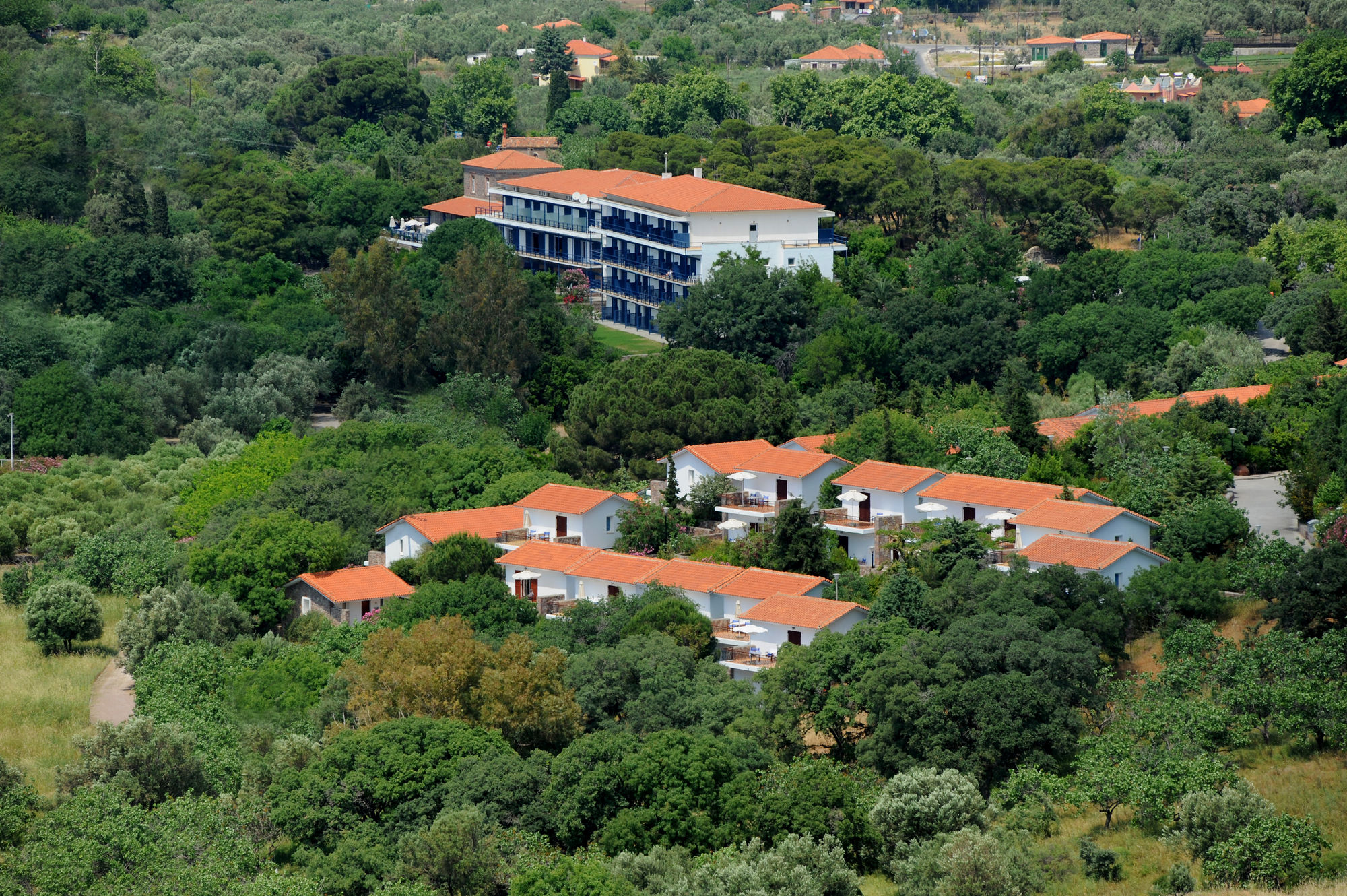 Delfinia Hotel & Bungalows