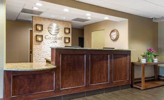 Comfort Inn la Porte