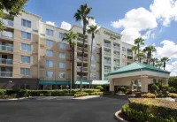 Courtyard Orlando Downtown Hotels near مركز أورلاندو للعلوم
