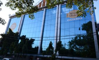 Hotel S. K Crown Park Naraina - Hizvo