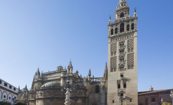 Casual Don Juan Tenorio Sevilla