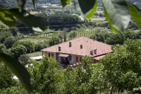 Ktima Bellou - Mountain view