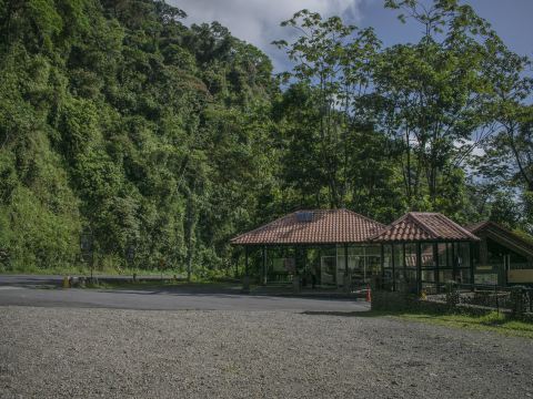 Tapirus Lodge