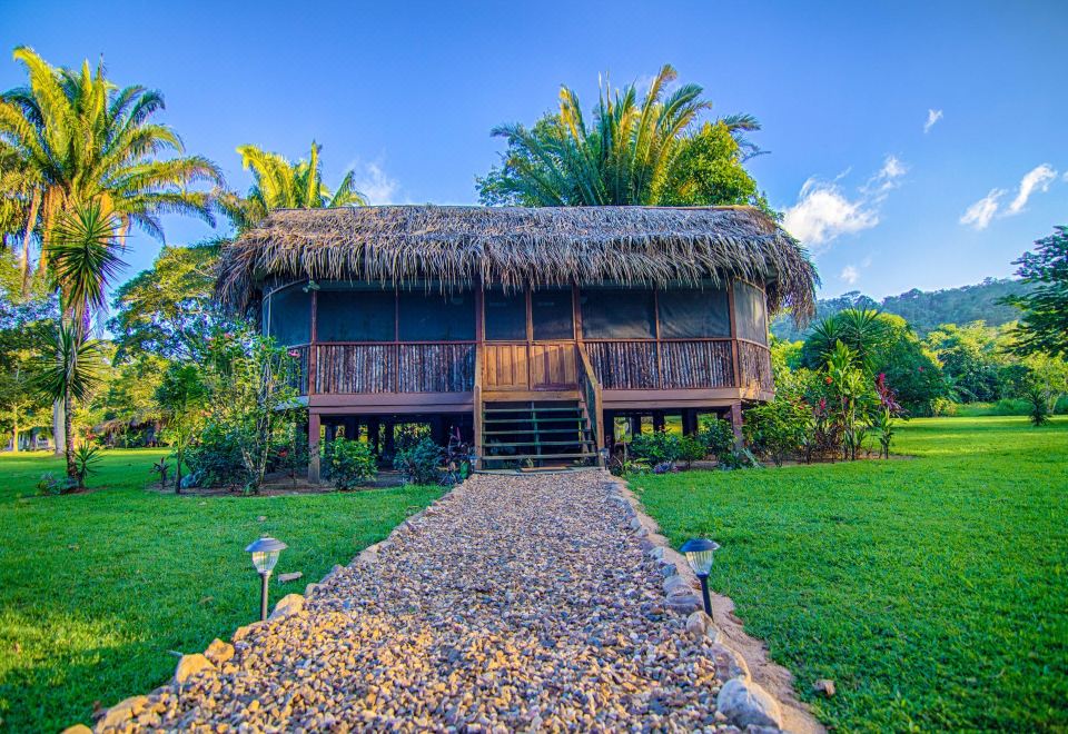 a small wooden house with a thatched roof , surrounded by palm trees and green grass , under a clear blue sky at Bocawina Rainforest Resort