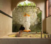 Dwaraka The Royal Villas - Pemandian Air Panas