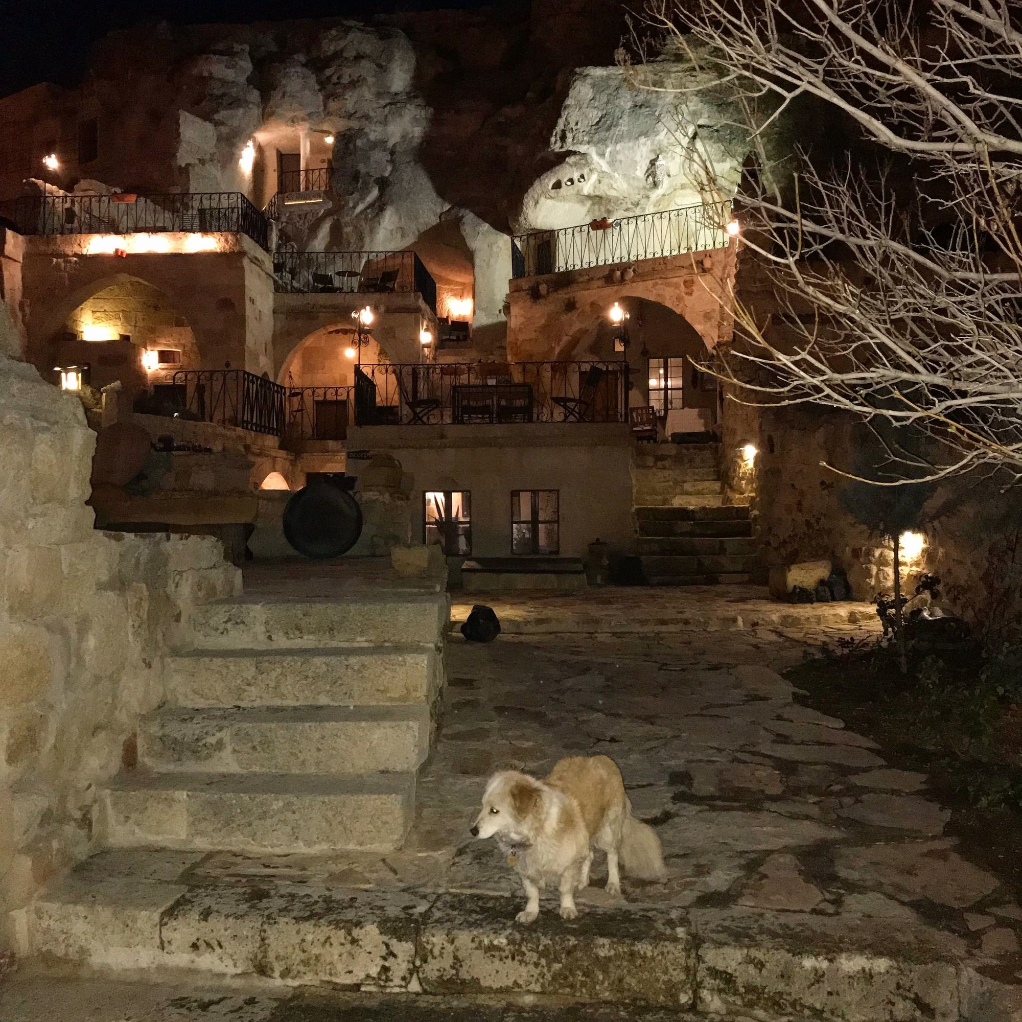 The Cappadocia Hotel