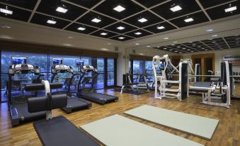 Elysian Jeju Golftel
