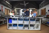 Scotty's Mission Beach Hotels in Tully