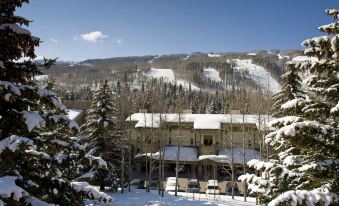 Lodge at Lionshead