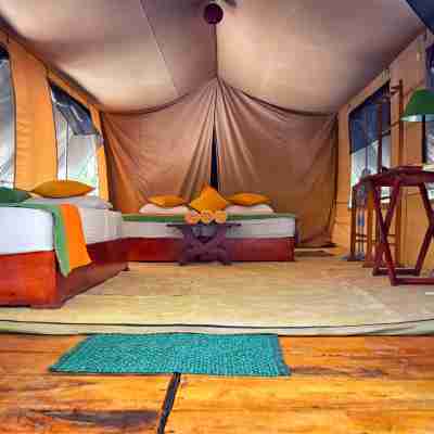 Wilderness Camping Yala Rooms