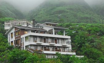 5. AdagioJi..