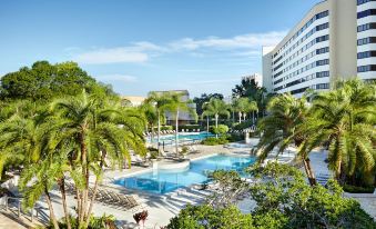 Hilton Orlando Buena Vista Palace - Disney Springs Area