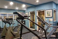 Comfort Inn & Suites North Dallas-Addison Hotels in Farmers Branch