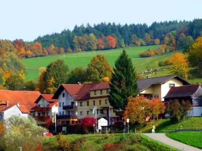 Hotel Gasthof Zur Krone Hotels in Eberbach