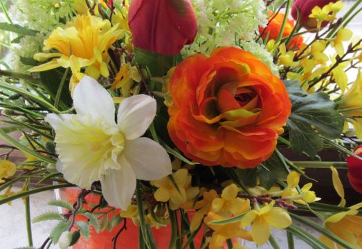 호텔 하우스 누스바움