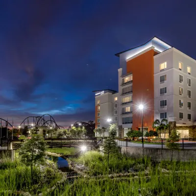 TownePlace Suites Orlando at SeaWorld® Hotels near Dolphin Cove