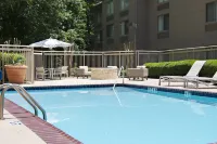 SpringHill Suites Atlanta Alpharetta - Pools