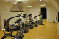 Chateau Herálec Boutique Hotel & Spa by l'Occitane - gimnasio
