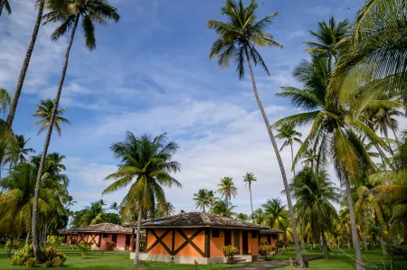 Patachocas Отели в г. Морро-де-Сан-Паулу