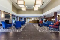 Comfort Suites-Youngstown North Hotels in Youngstown