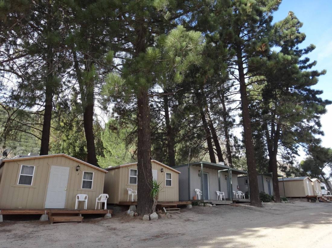 Freedom Acres Lifestyle (Swinger photo